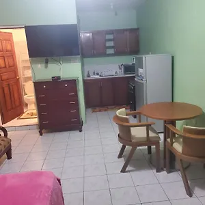 Wizzy Appartement Ocho Ríos